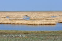 Озеро Жетыколь. Май 2012 года