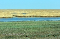 Озеро Жетыколь. Май 2012 года