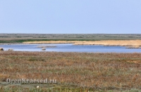 Озеро Жетыколь. Май 2012 года