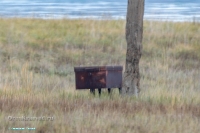 Озеро Жетыколь. Июнь 2025 года