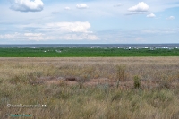 Озеро Жетыколь. Июнь 2025 года