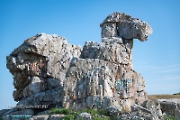 Скала Верблюд. Июнь 2025 года