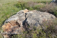 Ащисайская степь (участок госзаповедника «Оренбургский»)