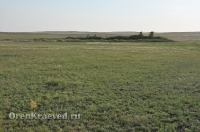 Ащисайская степь (участок госзаповедника «Оренбургский»)