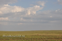 Ащисайская степь (участок госзаповедника «Оренбургский»)