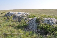 Ащисайская степь (участок госзаповедника «Оренбургский»)