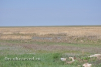 Ащисайская степь (участок госзаповедника «Оренбургский»)