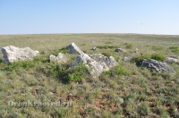 Ащисайская степь (участок госзаповедника «Оренбургский»)