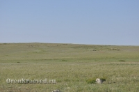 Ащисайская степь (участок госзаповедника «Оренбургский»)