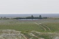 Ащисайская степь (участок госзаповедника «Оренбургский»)