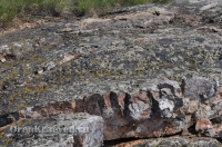 Ащисайская степь (участок госзаповедника «Оренбургский»)