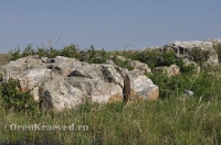 Ащисайская степь (участок госзаповедника «Оренбургский»)