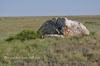 Ащисайская степь (участок госзаповедника «Оренбургский»)
