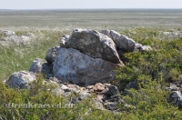 Ащисайская степь (участок госзаповедника «Оренбургский»)