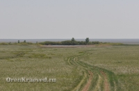 Ащисайская степь (участок госзаповедника «Оренбургский»)