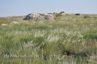 Ащисайская степь (участок госзаповедника «Оренбургский»)