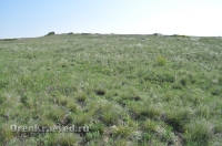 Ащисайская степь (участок госзаповедника «Оренбургский»)