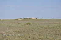 Ащисайская степь (участок госзаповедника «Оренбургский»)