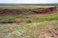 Ащисайский пруд. Июнь 2025 года