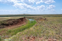 Ащисайский пруд. Июнь 2025 года