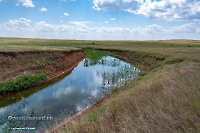 Ащисайский пруд. Июнь 2025 года