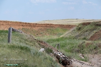 Ащисайский пруд. Июнь 2025 года