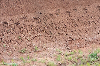 Ащисайский пруд. Июнь 2025 года