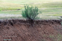 Ащисайский пруд. Июнь 2025 года