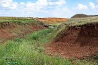 Ащисайский пруд. Июнь 2025 года