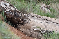 Ащисайский пруд. Июнь 2025 года