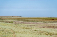 Гора Белый Камень. Июнь 2025 года