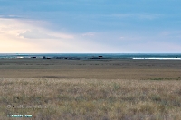 Гора Белый Камень. Июнь 2025 года