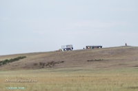 Гора Белый Камень. Июнь 2025 года