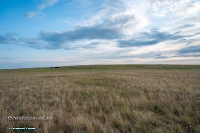 Гора Белый Камень