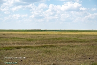 Озеро Коскуль (восточное). Июнь 2025 года