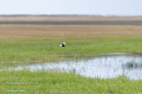 Озера Коскуль