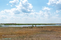 Озеро Коскуль (восточное). Июнь 2025 года