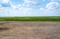 Озеро Коскуль (западное). Июнь 2025 года