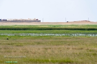 Озеро Коскуль (восточное). Июнь 2025 года