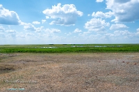 Озеро Коскуль (западное). Июнь 2025 года