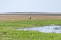 Озеро Коскуль (западное). Июнь 2025 года