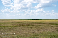 Озеро Коскуль (восточное). Июнь 2025 года