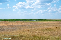 Озеро Коскуль (восточное). Июнь 2025 года