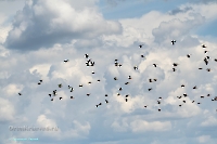 Озеро Айке. Июнь 2025 года