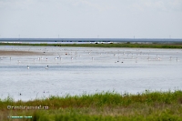 Озеро Айке. Июнь 2025 года