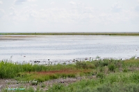 Озеро Айке. Июнь 2025 года