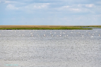 Озеро Айке. Июнь 2025 года