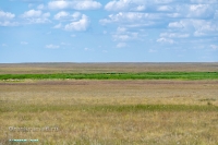 Озеро Батпакты. Июнь 2025 года