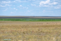 Озеро Батпакты. Июнь 2025 года