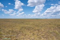 Озеро Батпакты. Июнь 2025 года